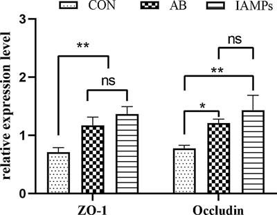 Effects of Immobilized Antimicrobial Peptides on Growth Performance, Serum Biochemical Index, Inflammatory Factors, Intestinal Morphology, and Microbial Community in Weaning Pigs